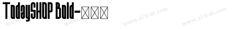 TodaySHOP Bold字体转换